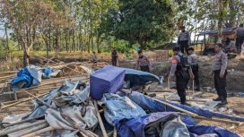 Giat Polres Tegal Berantas Judi Sabung Ayam